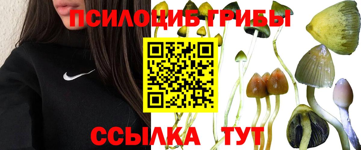 Галлюциногенные грибы GOLDEN TEACHER Туапсе