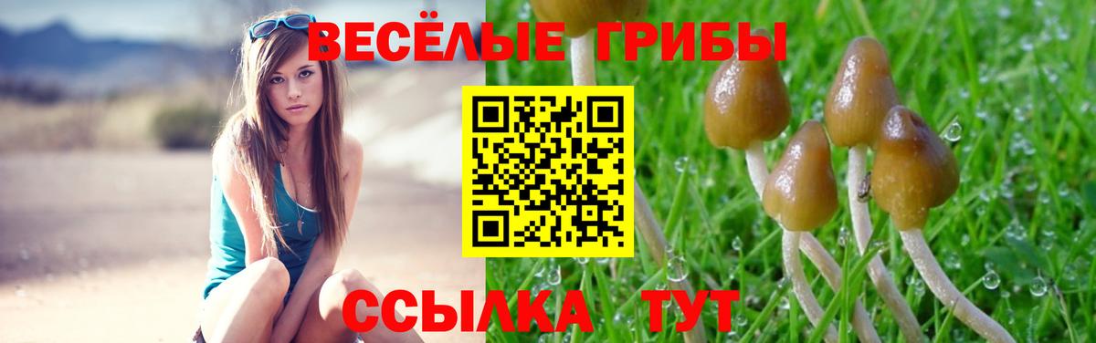 где можно купить наркотик  Галлюциногенные грибы GOLDEN TEACHER  Вход с VPN  Туапсе  Галлюциногенные грибы мицелий 